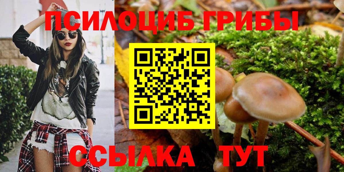 Псилоцибиновые грибы Magic Shrooms Ликино-Дулёво